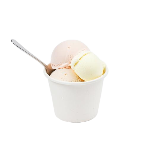 Bakje ijs 2 bolletjes